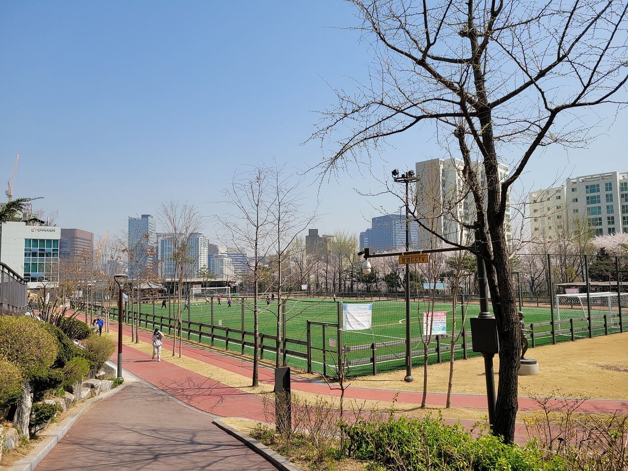 马尔