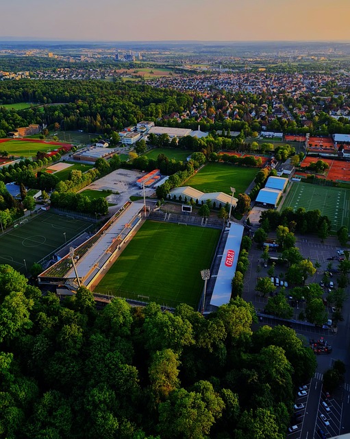 为比利时打 为比利时打