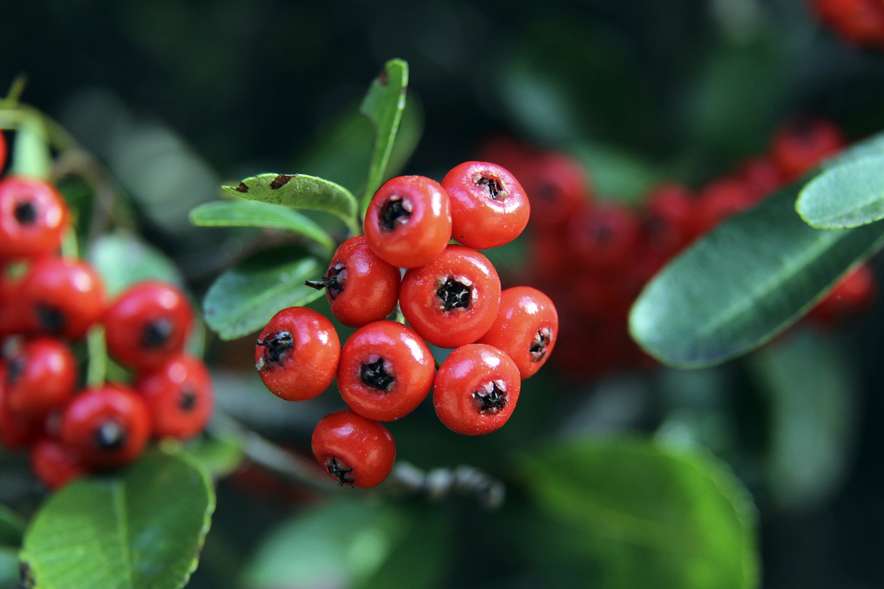 却潜藏着巨 却潜藏着巨