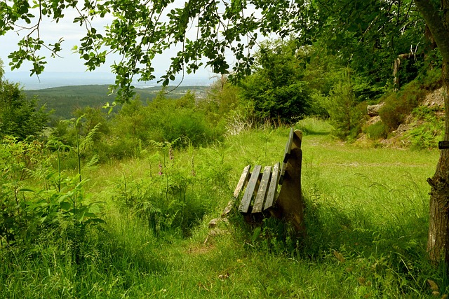 执教历程中 执教历程中