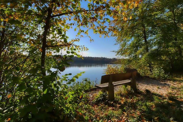 注入了极大 注入了极大